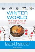 Winter World: The Ingenuity Of Animal Survival