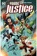 Young Justice Book Three