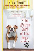 The Patron Saint Of Lost Dogs
