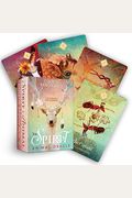 The Spirit Animal Oracle: A 68-Card Deck - Animal Spirit Cards With Guidebook