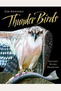 Thunder Birds: NatureÂ’S Flying Predators