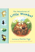 Adventures of Little Wombat