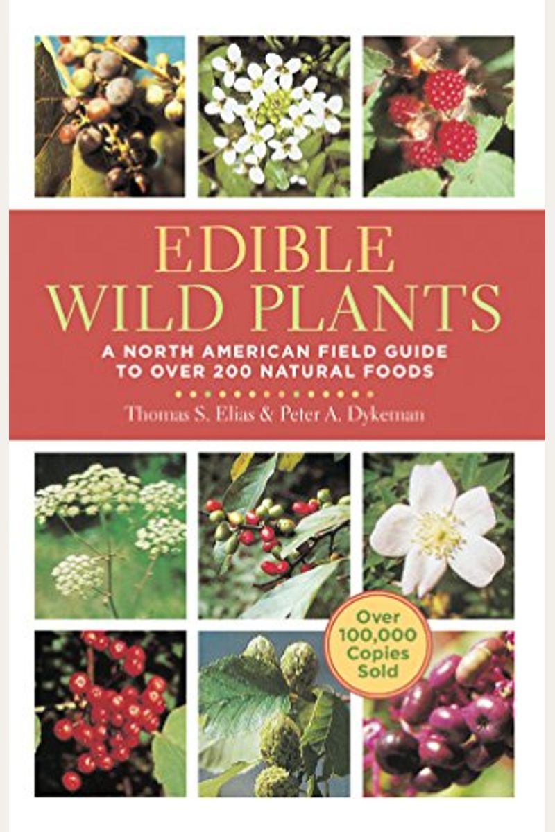 Field Guide To North American Wild Edible Plants