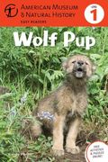 Wolf Pup: (Level 1)Volume 4