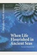 When Life Flourished In Ancient Seas: The Early Paleozoic Era