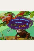 What's The Difference Between A Frog And A Toad?