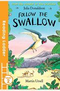 Follow The Swallow