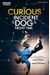 The Curious Incident of the Dog in the Night-Time: The Play