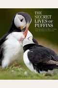 The Secret Lives Of Puffins