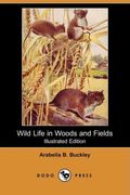 Wild Life In Woods And Fields (Yesterday's Classics)