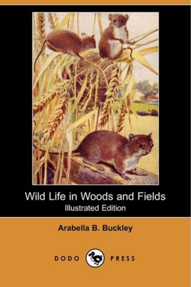 Wild Life In Woods And Fields (Yesterday's Classics)