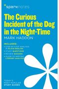 The Curious Incident of the Dog in the Night-Time (Sparknotes Literature Guide), 25