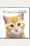 If Cats Could Talk: The Meaning Of Meow