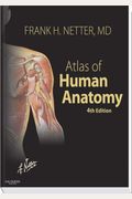 Atlas Of Human Anatomy, 4th Edition (Netter Basic Science)