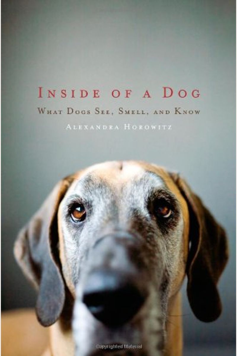 Inside Of A Dog: What Dogs See, Smell, And Know