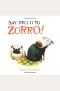 Say Hello To Zorro!