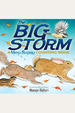 The Big Storm: A Very Soggy Counting Book The Big Storm: A Very Soggy Counting Book