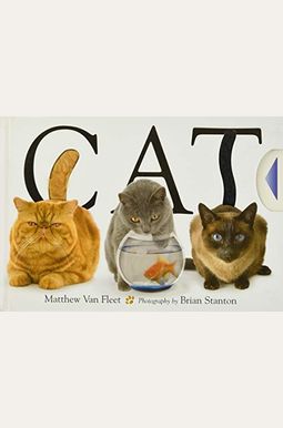 Cat Cat