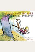 Calvin And Hobbes: Sunday Pages 1985-1995 (Turtleback School & Library Binding Edition)