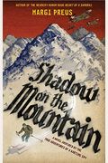 Shadow On The Mountain