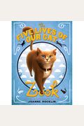 The Five Lives Of Our Cat Zook