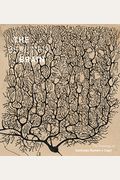 Beautiful Brain: The Drawings Of Santiago Ramon Y Cajal