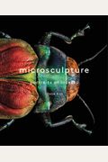 Microsculpture: Portraits Of Insects