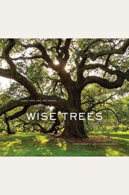 Wise Trees Wise Trees