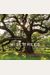 Wise Trees