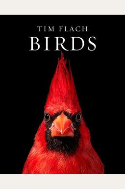 Birds Birds