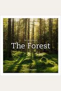 The Life & Love Of The Forest