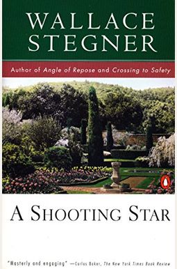A Shooting Star A Shooting Star