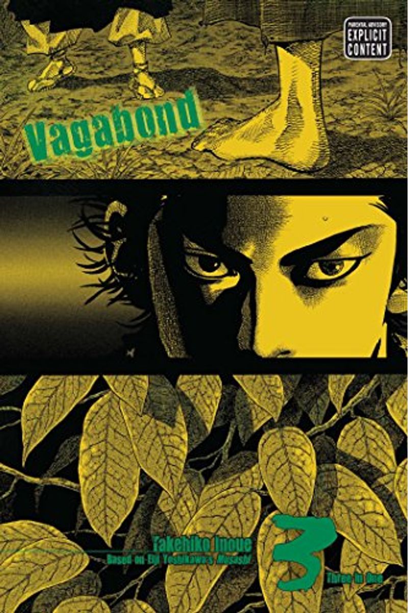 Vagabond (Vizbig Edition), Vol. 3: Volume 3