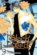 Black Bird, Volume 9