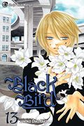 Black Bird, Volume 13