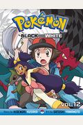 PokéMon Black And White, Vol. 12
