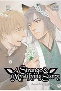 A Strange and Mystifying Story, Vol. 5, 5