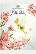 The Hidden World Of Fairies