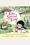 One Special Day: A Story For Big Brothers And Sisters