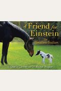A Friend For Einstein, The Smallest Stallion