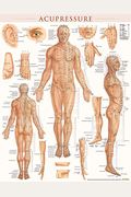 Acupressure Poster (22 X 28 Inches) - Laminated: Anatomy Of Points For Acupressure & Acupunture