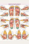 Reflexology Poster (22 X 28 Inches) - Laminated: A Quickstudy Anatomy Reference