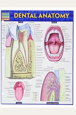 Dental Anatomy Dental Anatomy