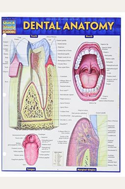 Buy Dental Anatomy Book By: Vincent Perez