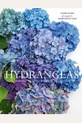 Hydrangeas: Beautiful Varieties For Home And Garden
