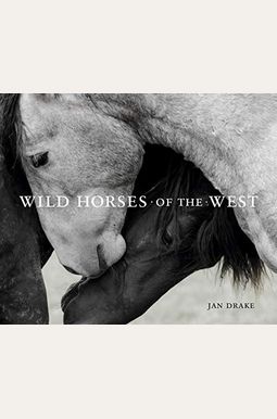 Wild Horses Of The West Wild Horses Of The West