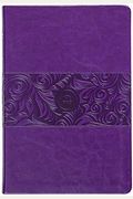 The Passion Translation New Testament (2020 Edition) Large Print Violet: With Psalms, Proverbs And Song Of Songs