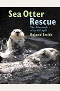 Sea Otter Rescue: The Aftermath Of An Oil Spill
