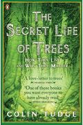 The Secret Life Of Trees