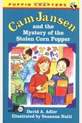 CAM Jansen: The Mystery of the Stolen Corn Popper #11